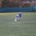 201116 0038