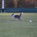 201116 0040