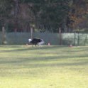 201116 0654