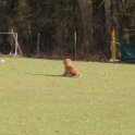 201116 0809