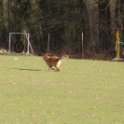 201116 0810