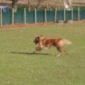 201116 0822