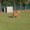 201116 0825