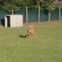 201116 0826