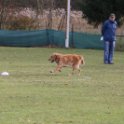 201116 0841