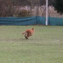 201116 0859