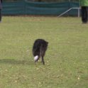 201116 0927