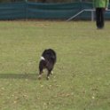 201116 0929