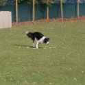 201116 1060