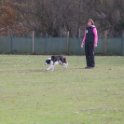 201116 1077