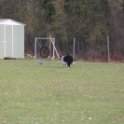 201116 1121