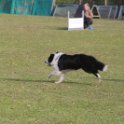 201116 1142