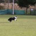 201116 1181