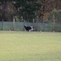 201116 1184