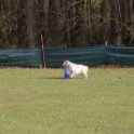 201116 1208