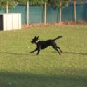 201116 0087