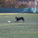 201116 0110