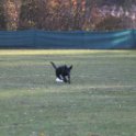 201116 0111