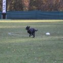 201116 0113