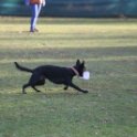 201116 0119
