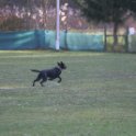 201116 0125