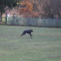 201116 0126