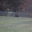 201116 0129