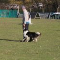 201116 1358