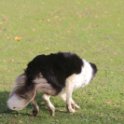 201116 1373