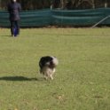 201116 1375