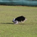 201116 1392