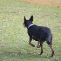 201116 1429