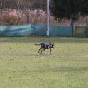 201116 1441