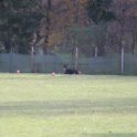 201116 1444