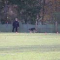 201116 1445