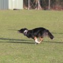 201116 1456