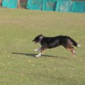 201116 1457