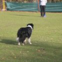 201116 1485