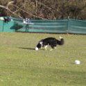201116 1495