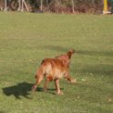 201116 1643