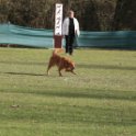 201116 1668