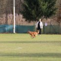 201116 1678