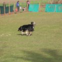 201116 1704