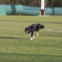 201116 1724