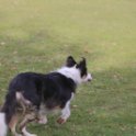 201116 1750