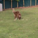 201116 1842