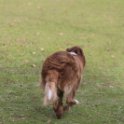 201116 1846