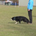 201116 1905