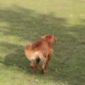201116 1970