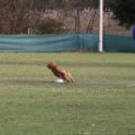 201116 1981